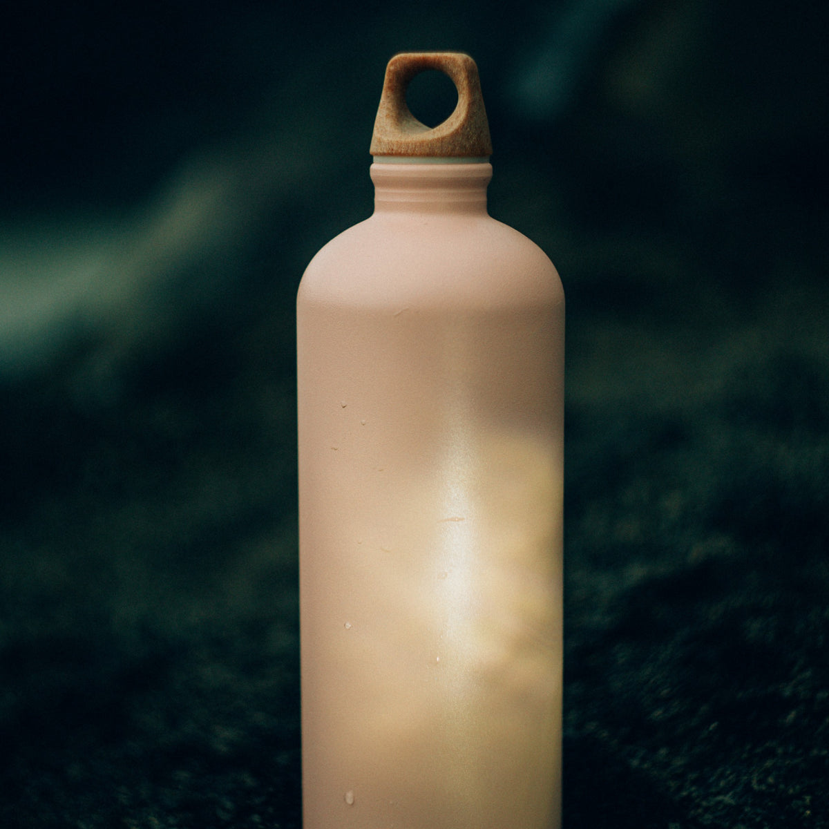 SIGG Traveller MyPlanet Forward Plain 1,0 l, käyttökuva