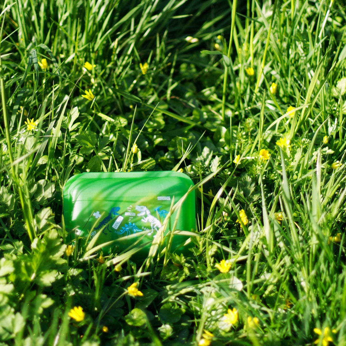 SIGG Lunchbox Kids Jurassica