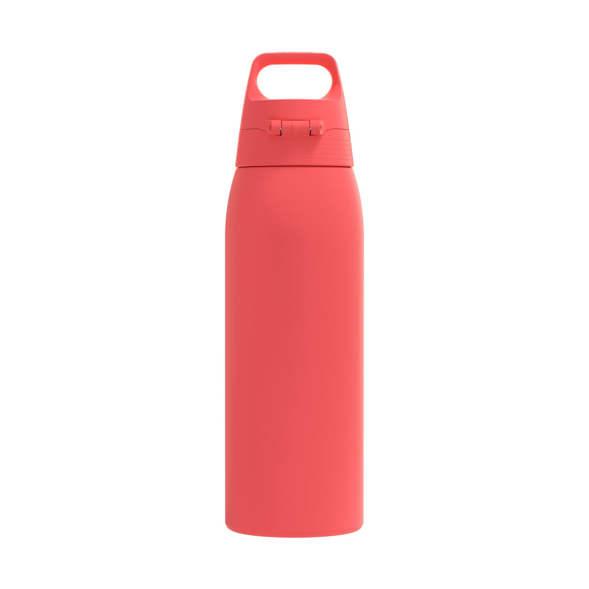 SIGG Shield One teräksinen juomapullo Watermelon 1,0 l, takaa, pullo täytettynä