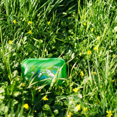 SIGG Lunchbox Kids Jurassica