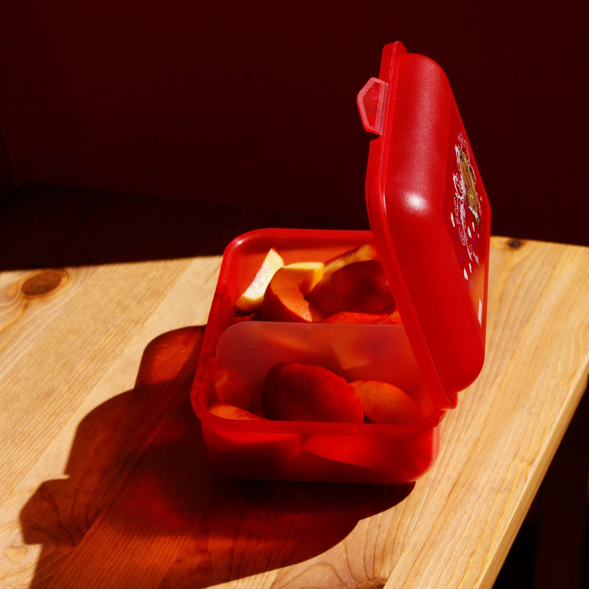 SIGG Lunchbox Kids Horses, käytössä ulkona