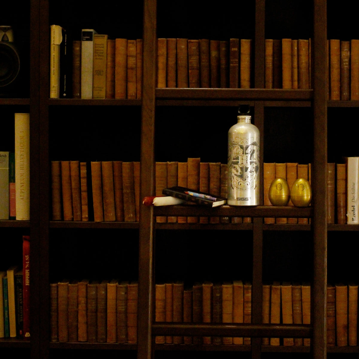 SIGG Hogwarts 1,0 l, käytössä ulkona