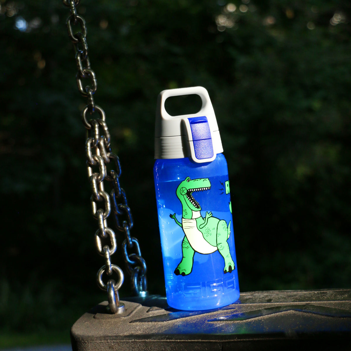 SIGG Viva One Rex & Trixie 0,5 l, käytössä ulkona 2
