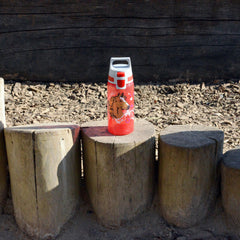 SIGG VIVA ONE Horses 0,5 l