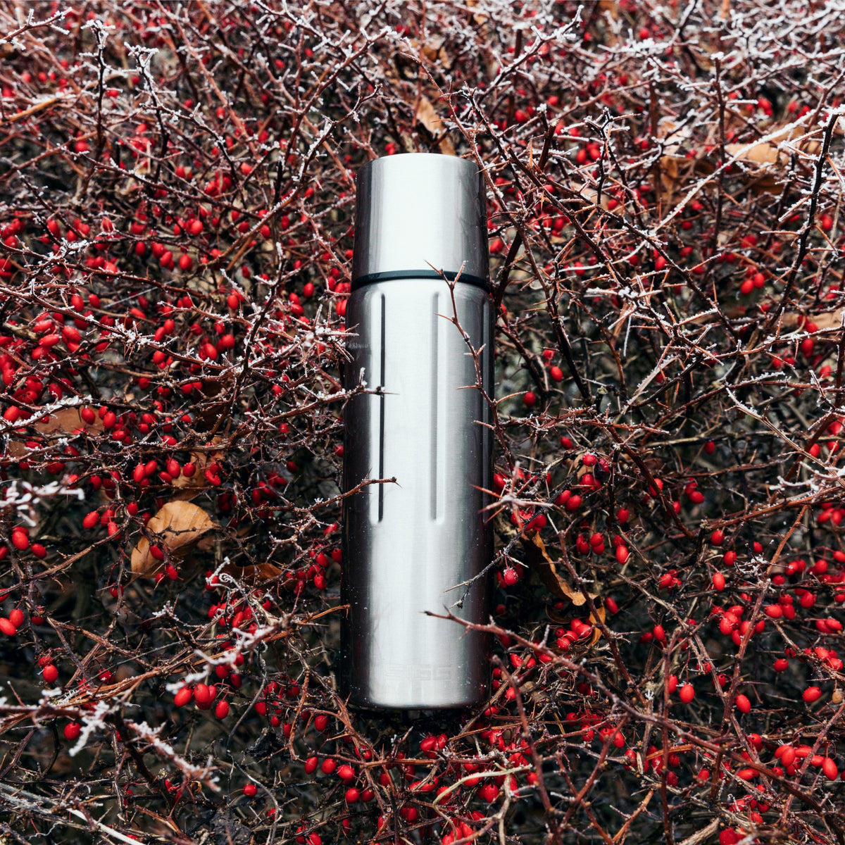 SIGG Gemstone IBT Selenite 0,75, käyttökuva 2